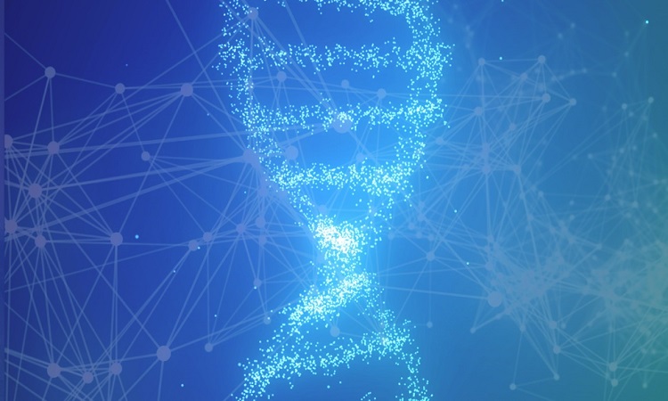 2018.09.19区块链资讯