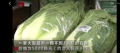 韩国白菜涨价至一颗30块 泡菜都吃不起！网友：再不敢说“白菜价”了